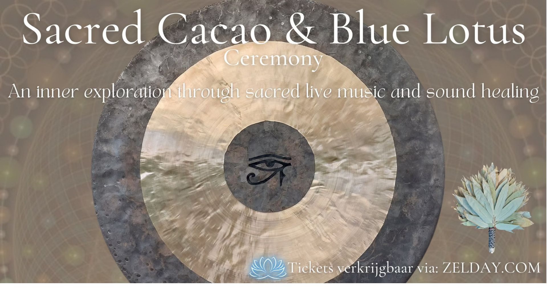 Sacred Cacao & Blue Lotus ceremony